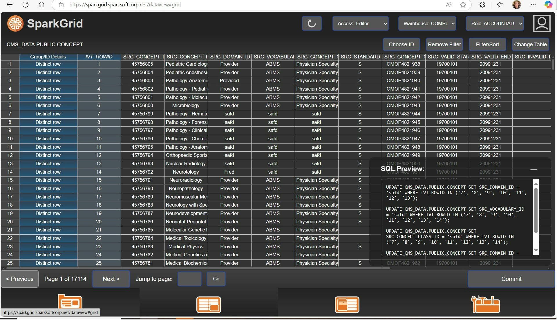 SparkGrid - Editor della tabella del database con foglio di calcolo UX media 4