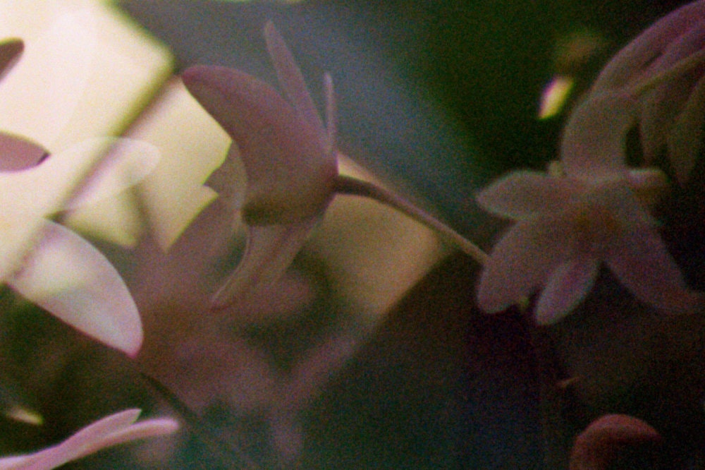 In Kind Creative gallery image