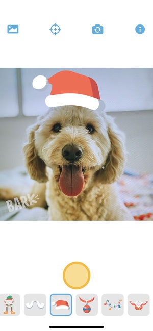 Say BARK! gallery image