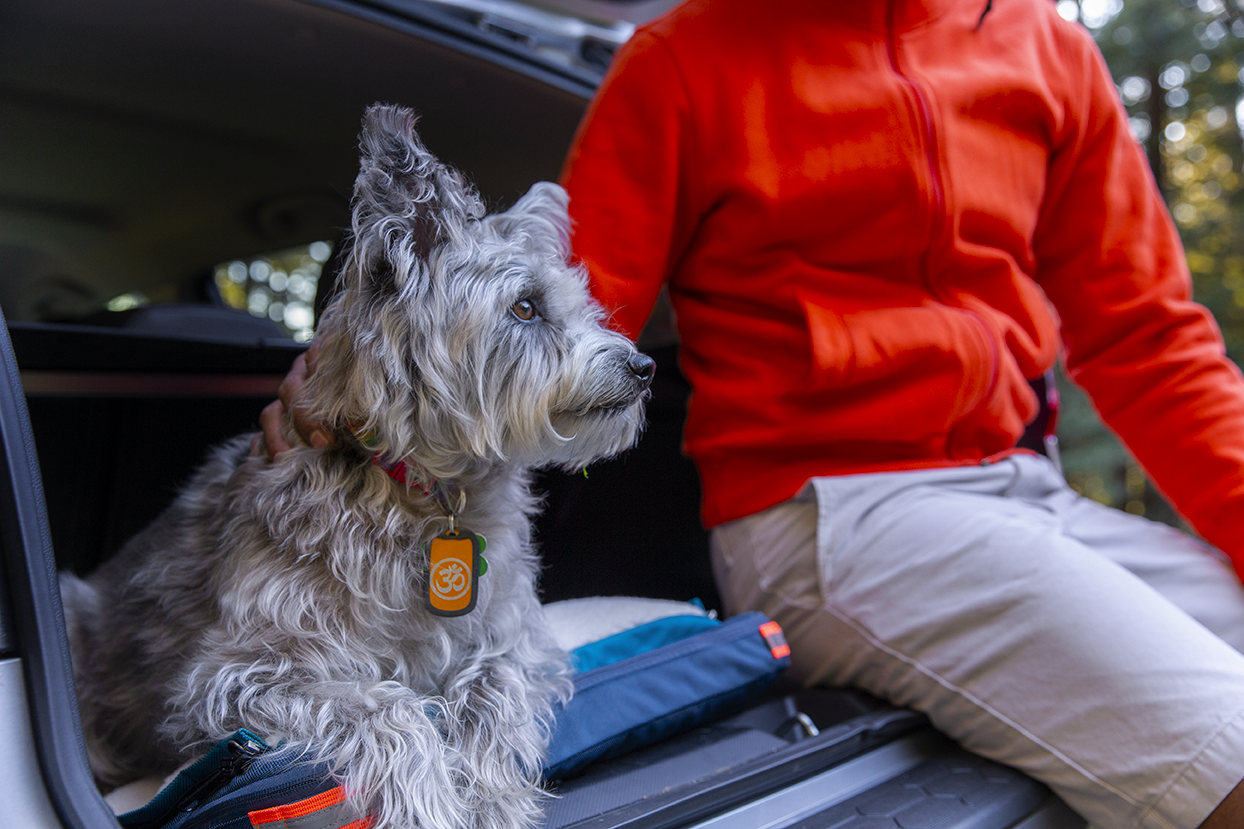 Ruffrest® Ultimate Dog Yatak - James Bond ve Müfettiş Gadget bir köpek yatağı yapsaydı medya 7