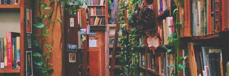 YOUNES BEN AMARA cover