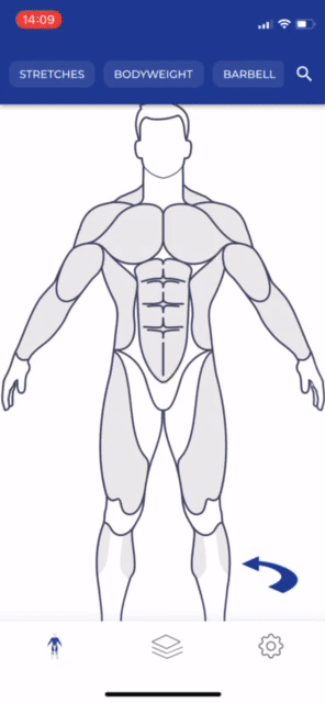 وسائط تطبيق MuscleWiki - تبسيط التمرين الخاص بك 2