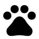 Günlük Woof anları