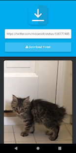 Video Download for Twitter gallery image