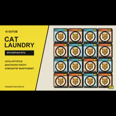 Cat Laundry