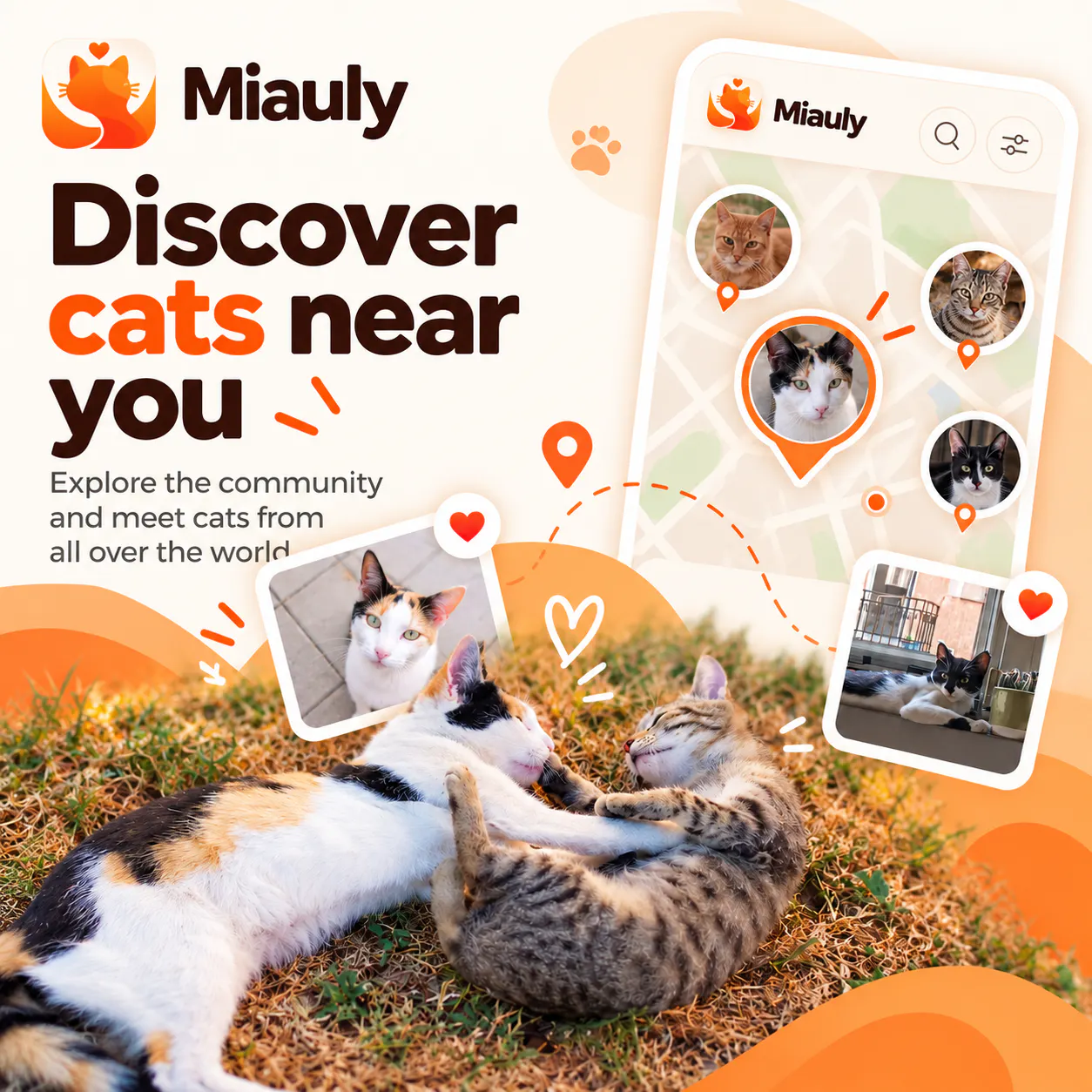 Miauly gallery image