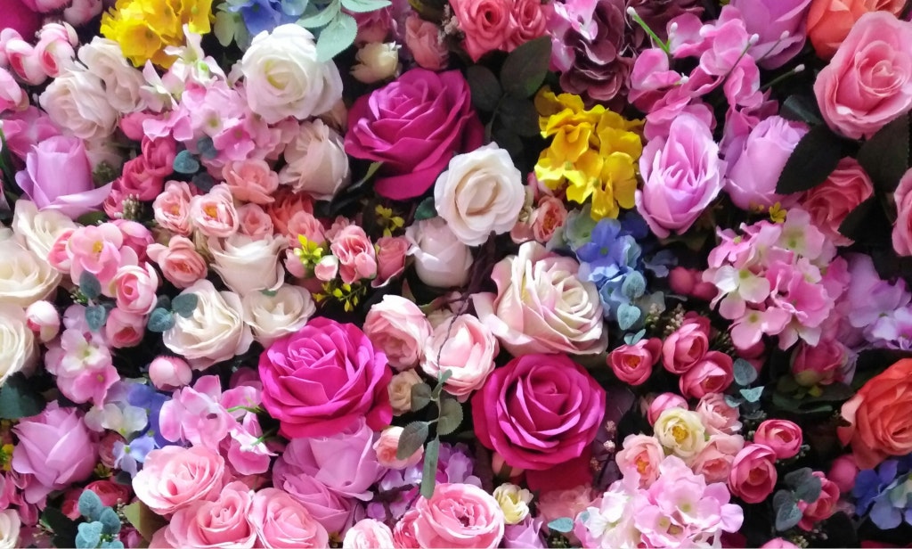 tipos de flores​ gallery image