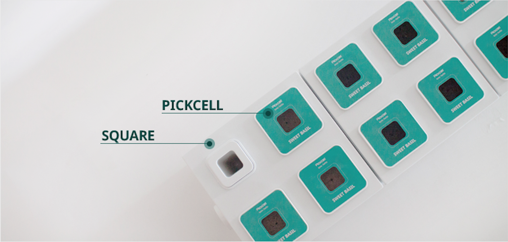 PLANTY SQUARE gallery image