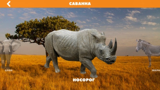 MyZoo - Animal sounds for Kids gallery image