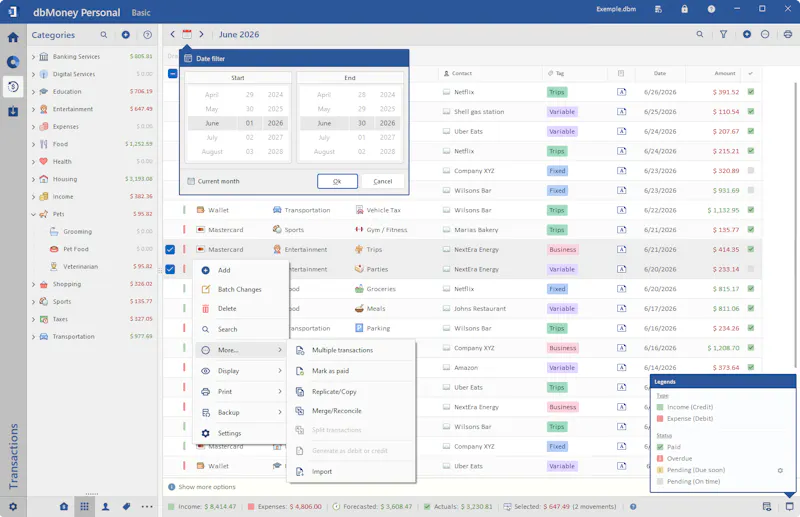 dbMoney Personal screenshot 15
