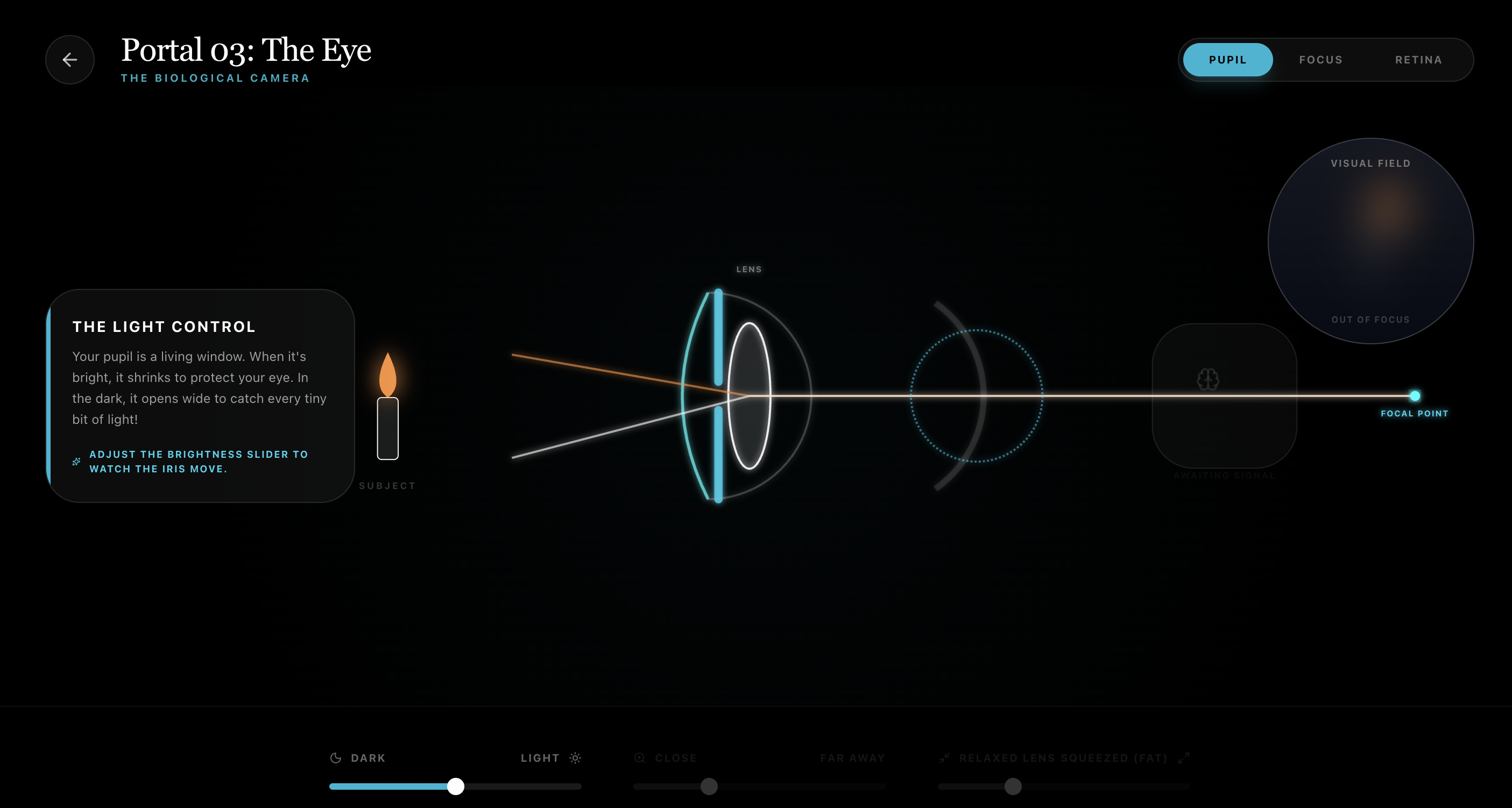 The Physics of Reality gallery image