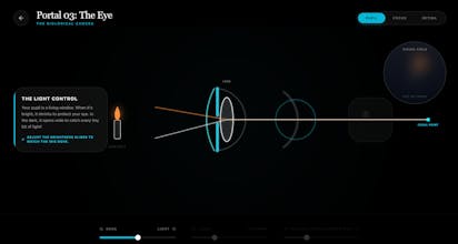 The Physics of Reality gallery image
