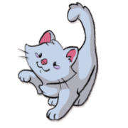 Catify Next