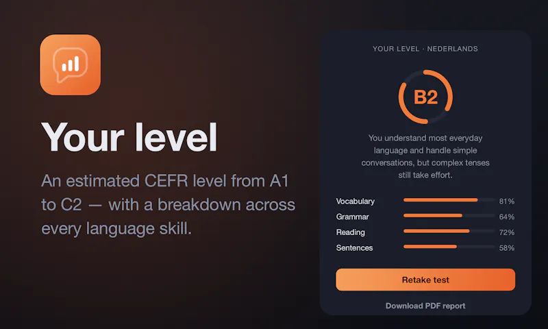 Taaltest screenshot 2