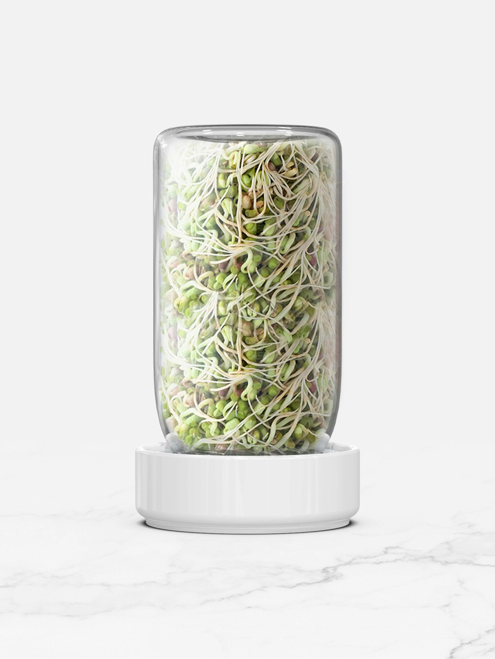 Forages Sprout Jar Kit media 2