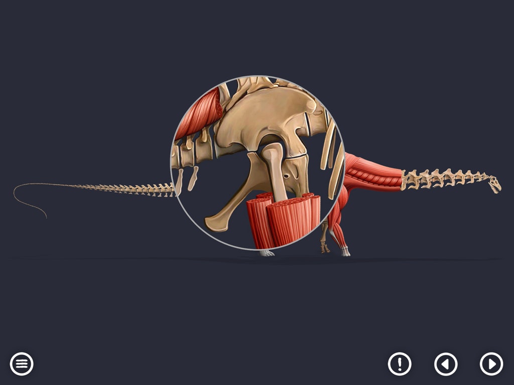 World of Dinosaurs : KIDS gallery image