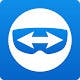 Team Viewer