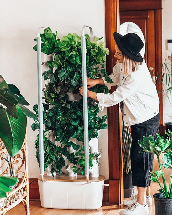 Gardyn gallery image