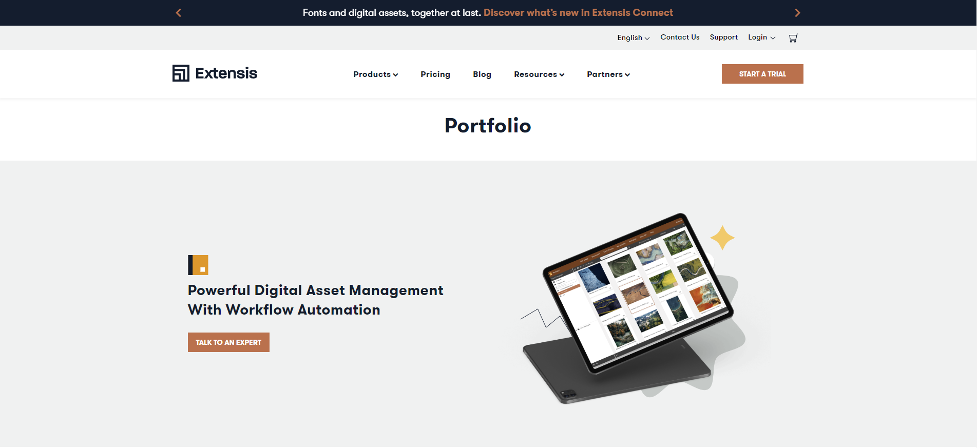 Extensis Portfolio gallery image