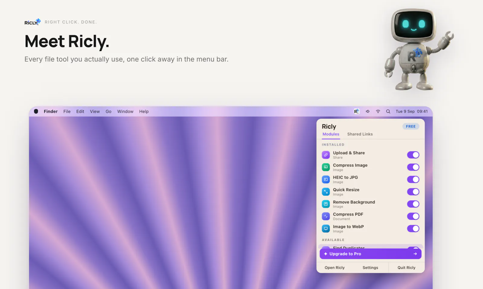 Ricly screenshot 2