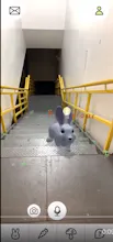 BabbleRabbit gallery image