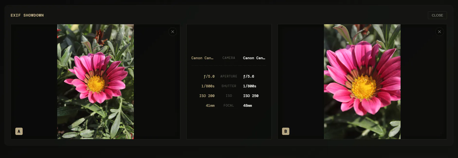 Captura 2