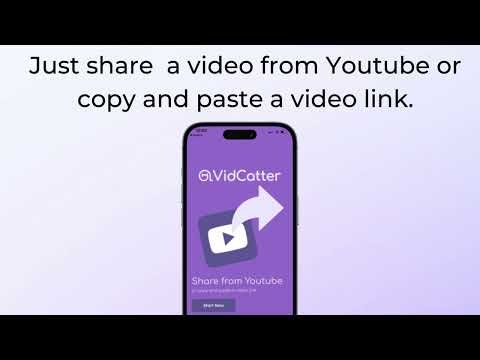 VidCatter gallery image