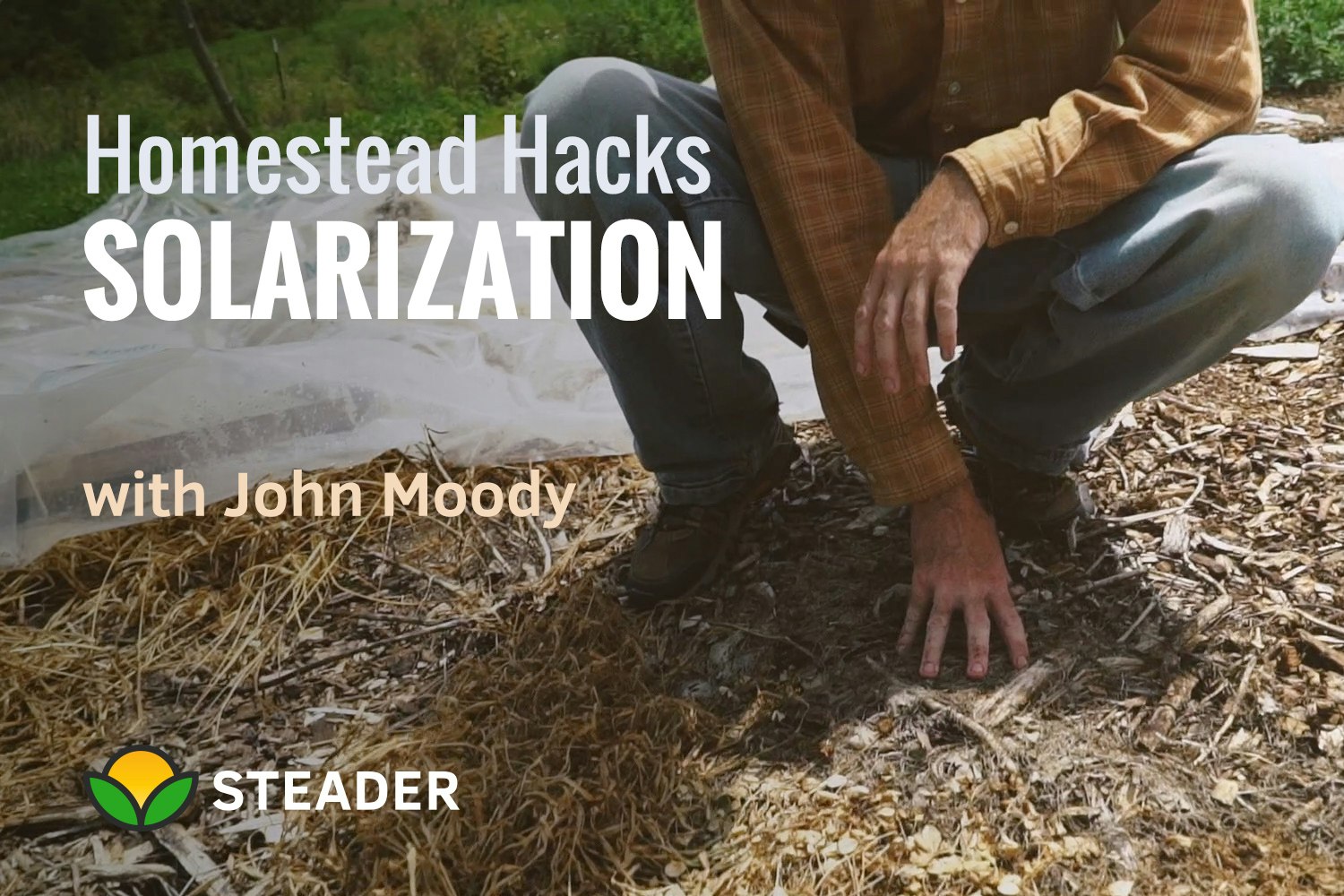 Steader gallery image