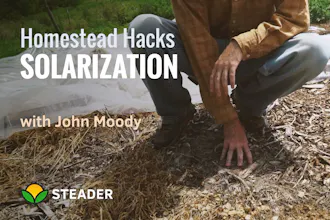 Steader gallery image