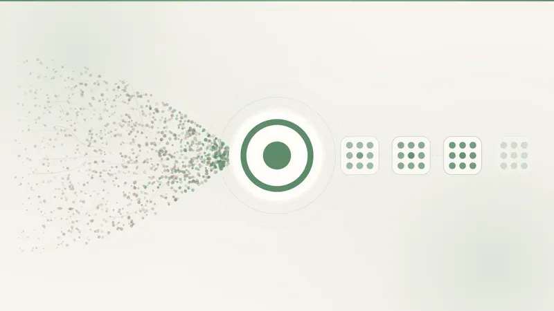 Morphacademy.online screenshot 4