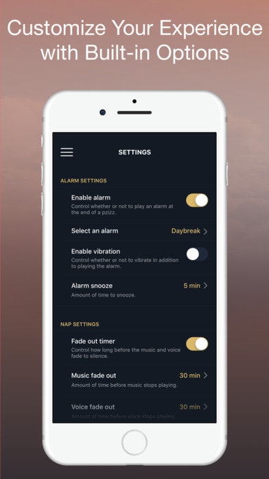 Pzizz 4.0 gallery image