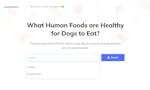 What Human Foods Can Dogs Eat? image