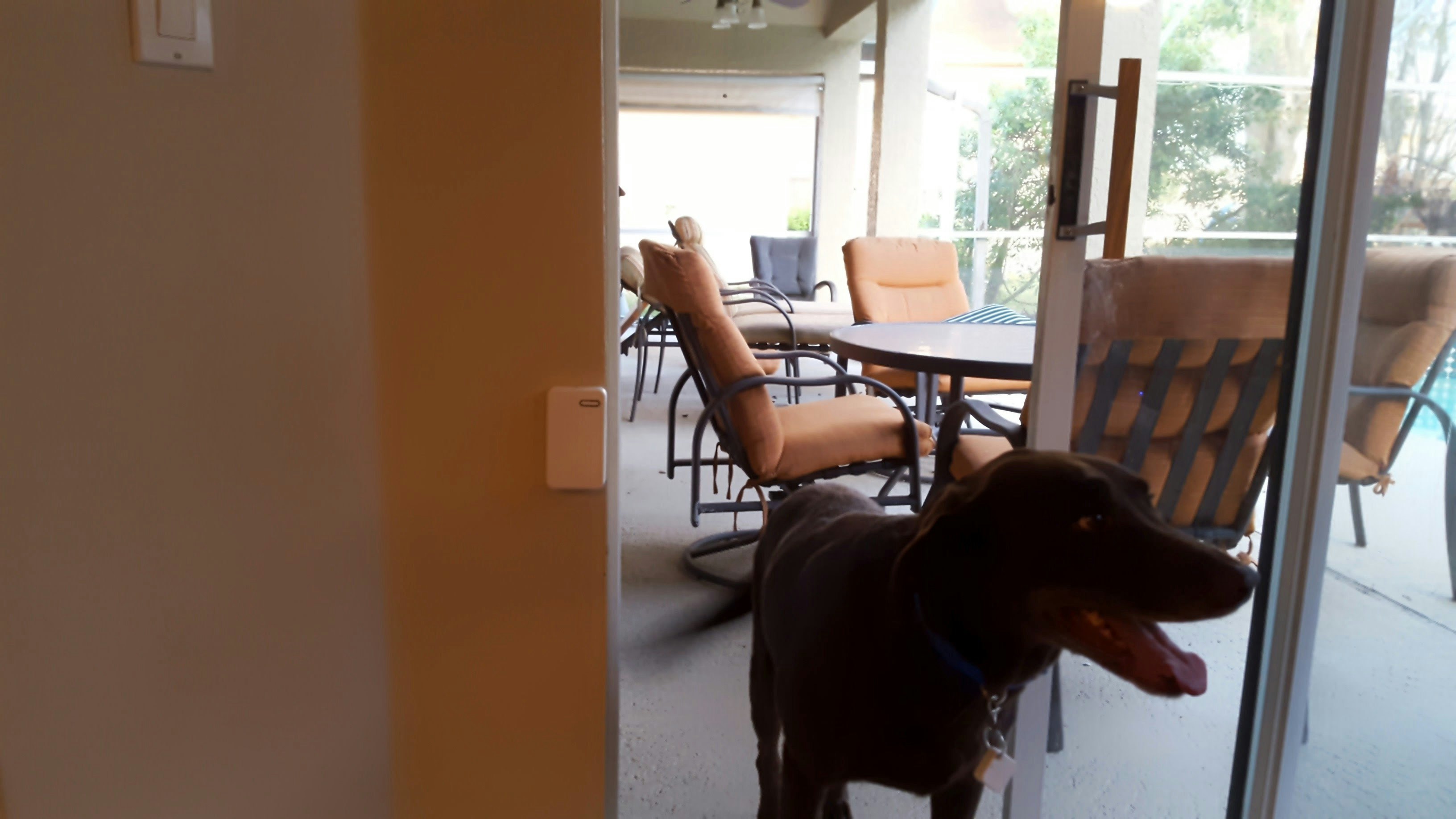 Autoslide iLock Smart Tag Pet Door Kit gallery image