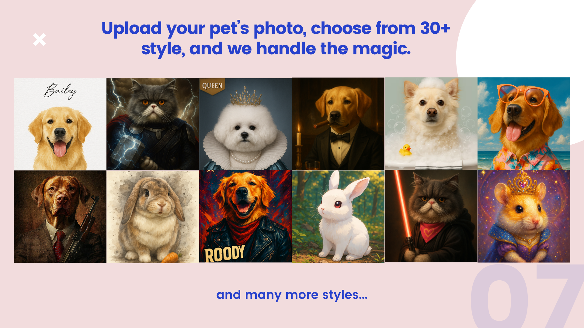Hello Pet Dreams media 8