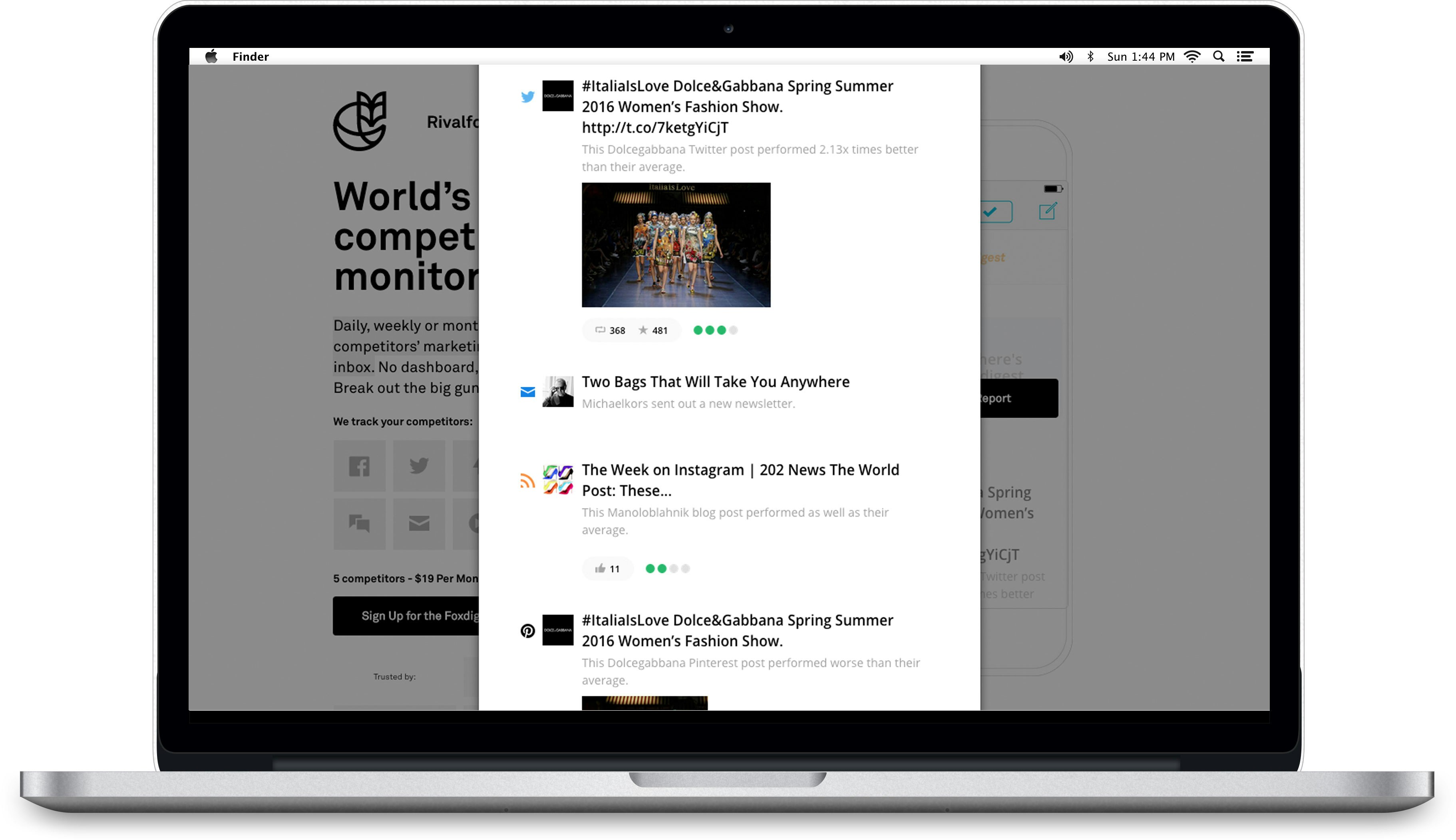 Foxdigest gallery image