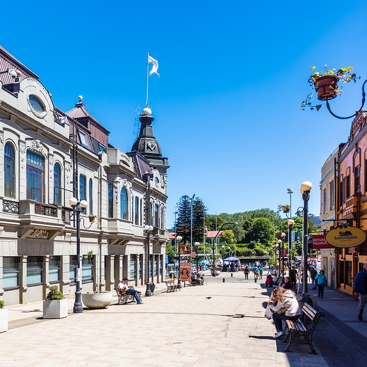 ValdiviaGuide gallery image