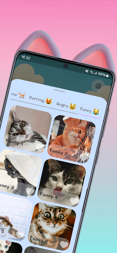 Média Sons de minou - Sons de chat ronronnant 2