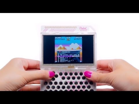 PocketChip