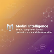 Medini Intelligence gallery image