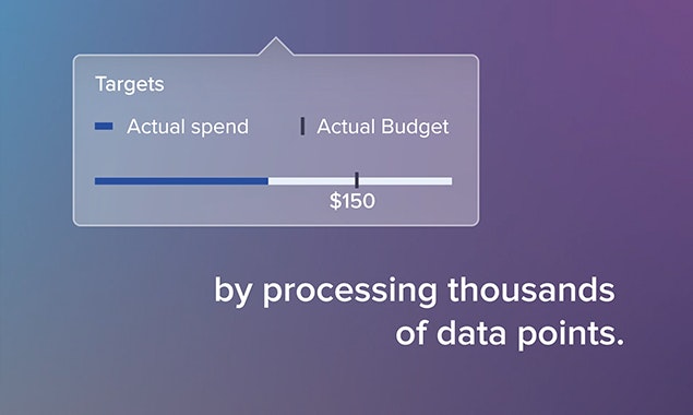 Madgicx Budget Optimizer for FB gallery image