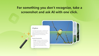 ClipAce gallery image