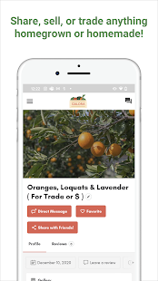 Galora gallery image