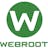 Know the importance of Webroot Download