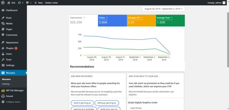 Google Ads WordPress Optimize Plugin gallery image