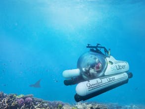 scUber gallery image