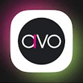 Avo
