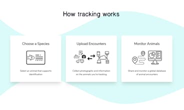 Animali gallery image