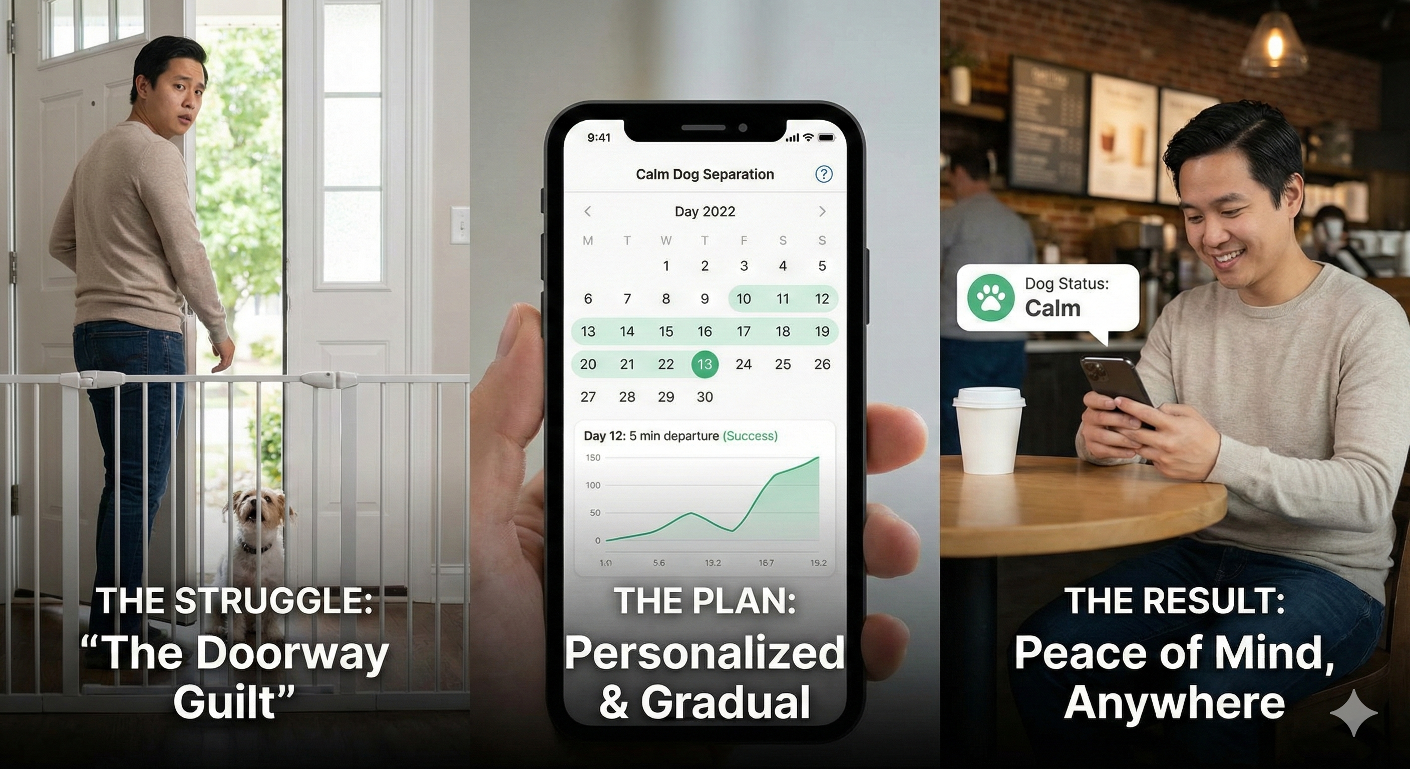 Calm Dog Separation - Screenshot 2 showing product features and functionality