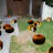 Augmented Halloween