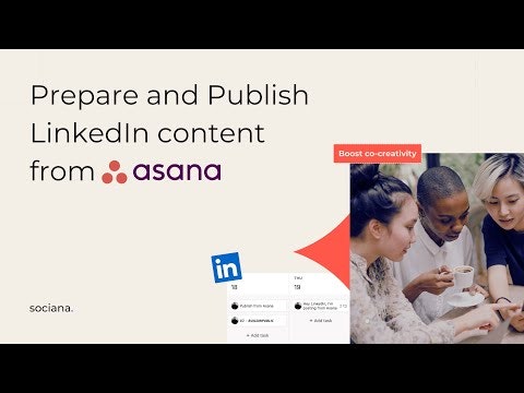 Sociana gallery image